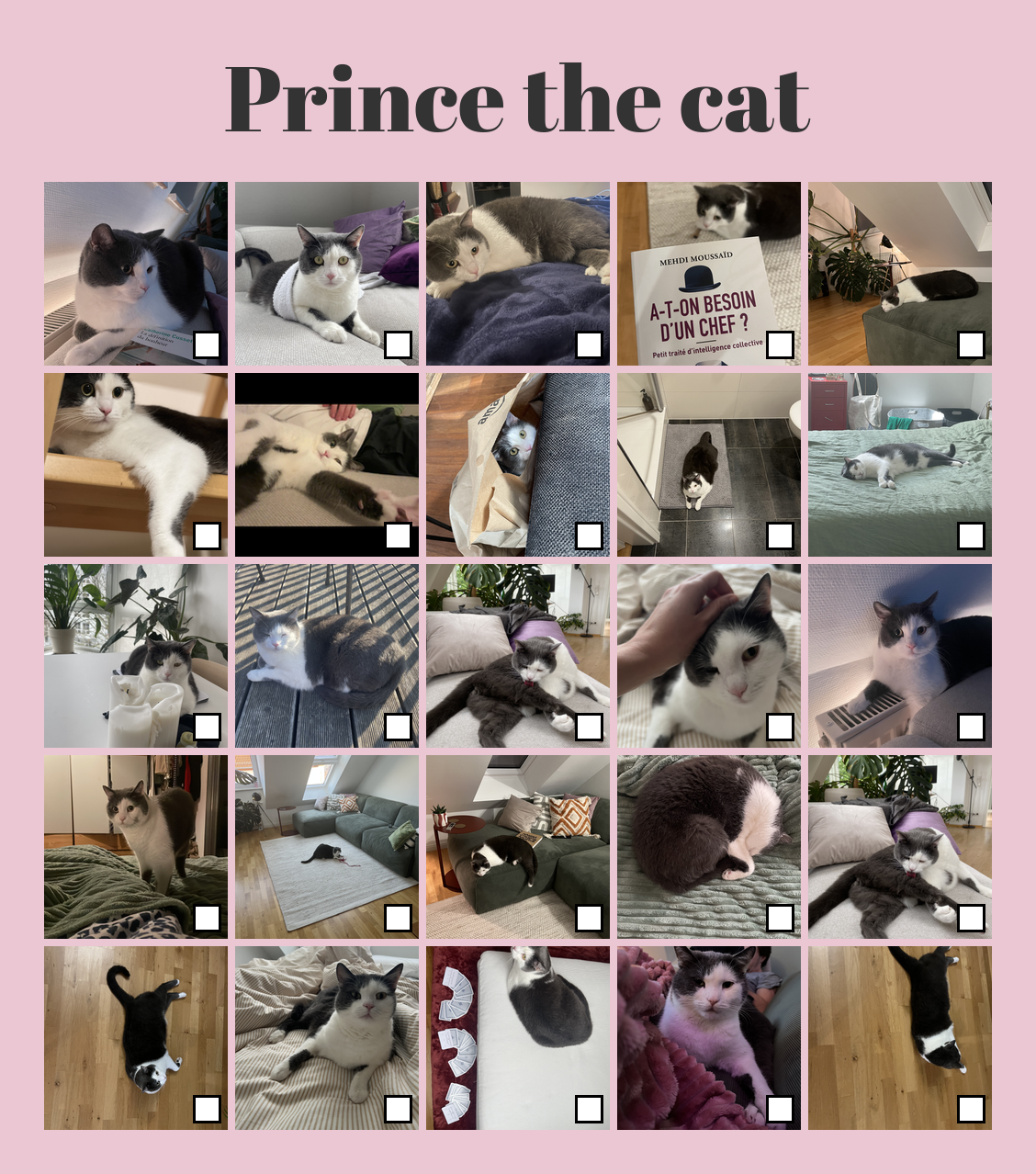 Real Prince Bingo Card